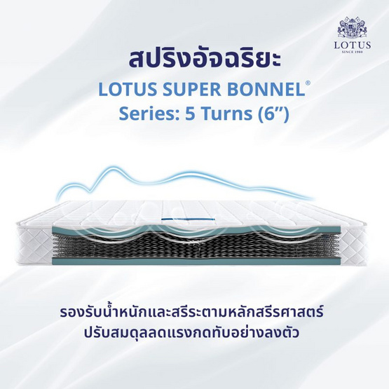 LOTUS ที่นอน รุ่น THE LOUNGE LOTUS ที่นอน รุ่น THE LOUNGE