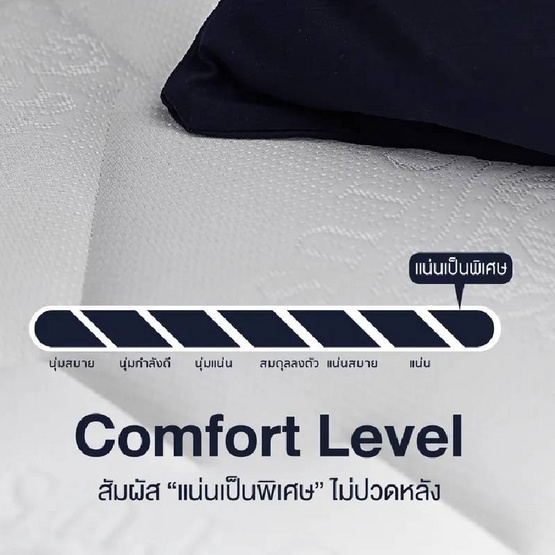 LOTUS ที่นอน รุ่น CARLTON I LOTUS ที่นอน รุ่น CARLTON I