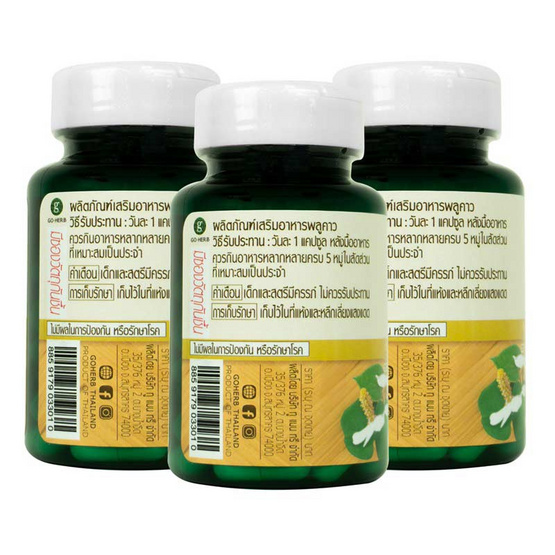 Go Herb พลูคาว บรรจุ 60 แคปซูล/กระปุก (แพ็ก3กระปุก)