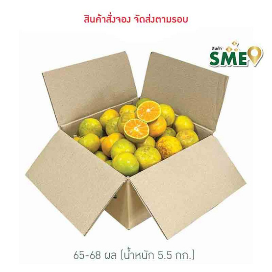 สวนร่มเกล้า ส้มสายน้ำผึ้ง จ. ตาก เบอร์ 120 (ส้มคั้นน้ำ) 5.5 กก. (65-68 ผล) สวนร่มเกล้า ส้มสายน้ำผึ้ง จ. ตาก เบอร์ 120 (ส้มคั้นน้ำ) 5.5 กก. (65-68 ผล)