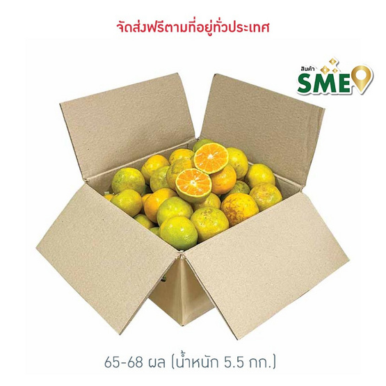 สวนร่มเกล้า ส้มสายน้ำผึ้ง จ. ตาก เบอร์ 120 (ส้มคั้นน้ำ) 5.5 กก. (65-68 ผล) สวนร่มเกล้า ส้มสายน้ำผึ้ง จ. ตาก เบอร์ 120 (ส้มคั้นน้ำ) 5.5 กก. (65-68 ผล)