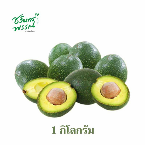 ไร่ชรินทร์พรรณ อะโวคาโด สายพันธุ์ บูท7 ไร่ชรินทร์พรรณ อะโวคาโด สายพันธุ์ บูท7