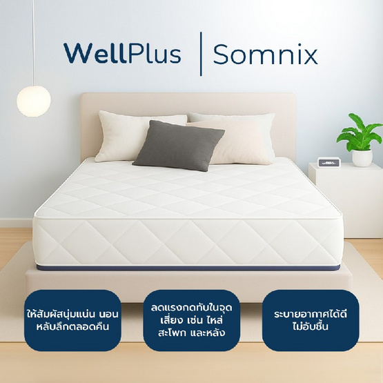 WellPlus ที่นอนยางพาราแท้เสริมสปริงพรีเมียม รุ่น Somnix หนา 10 นิ้ว