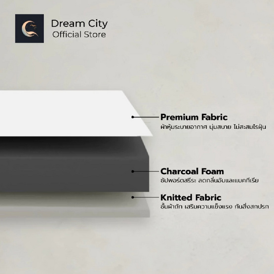 Dreamcity ที่นอนโฟมชาโคล รุ่น Night หนา 4 นิ้ว (แพ็กใส่กล่อง)