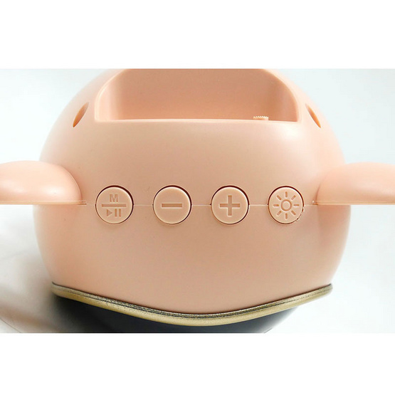 RODEA ลำโพงบลูทูธ X-868