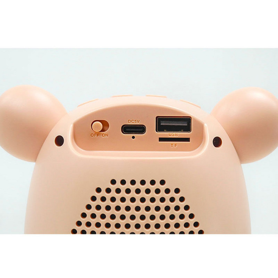 RODEA ลำโพงบลูทูธ X-868