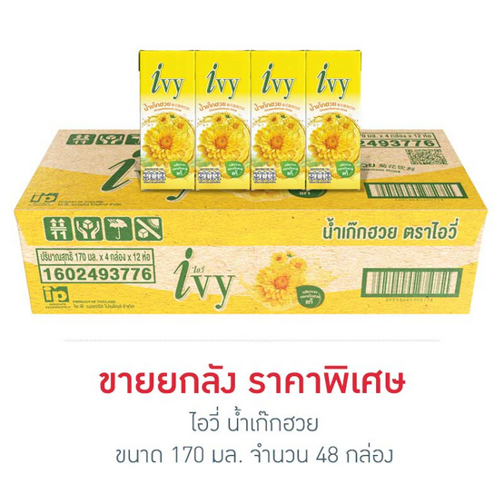 ไอวี่ น้ำเก๊กฮวย 170 มล. (ยกลัง 48 กล่อง)