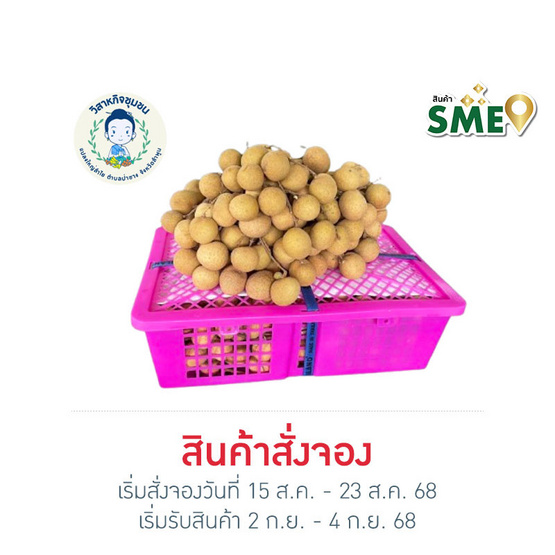 ลำไยสดพันธุ์อีดอ 3 กิโลกรัม อ. ป่าซาง จ. ลำพูน