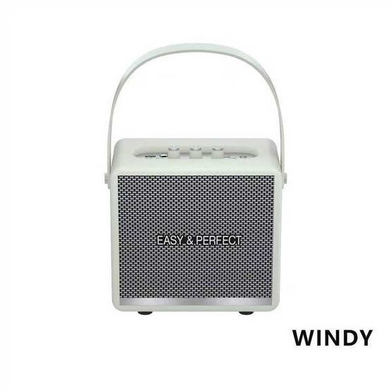 EASY&PERFECT ลำโพงบลูทูธ WINDY พร้อมไมโครโฟนไร้สาย 2 ตัว