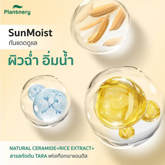 Plantnery ครีมกันแดด Organic Silky Fresh Essence Sunscreen SPF50+ PA++++ 40 มล.