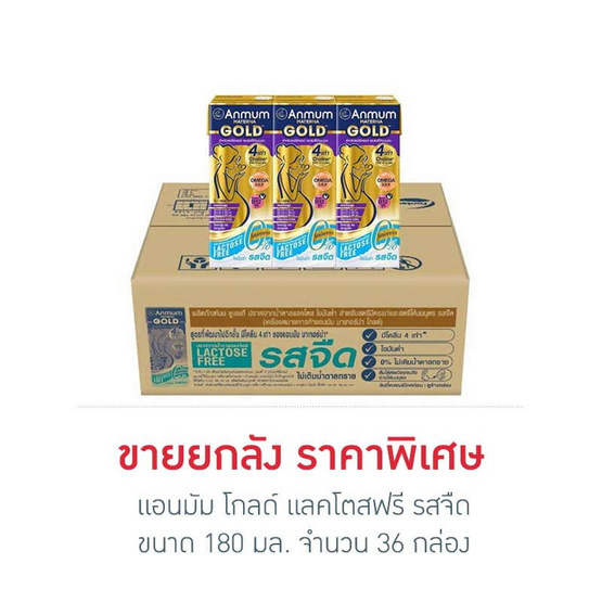 แอนมัม โกลด์ แลคโตสฟรี รสจืด 180 มล. (ยกลัง 36 กล่อง)