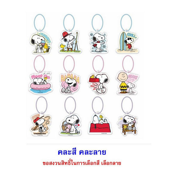 บิ๊กก้า เวเฟอร์สตรอเบอร์รี่พร้อมพวงกุญแจลาย Peanuts คละแบบ 15 กรัม (แพ็ก 6 ชิ้น)