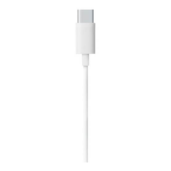 Rizz หูฟัง Type C รุ่น REM-2244G
