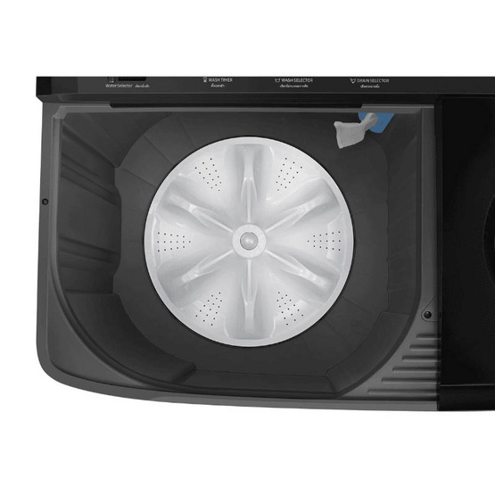 SAMSUNG เครื่องซักผ้า 2 ถัง 13 กิโลกรัม รุ่น WT13B5040BA/ST Black Caviar