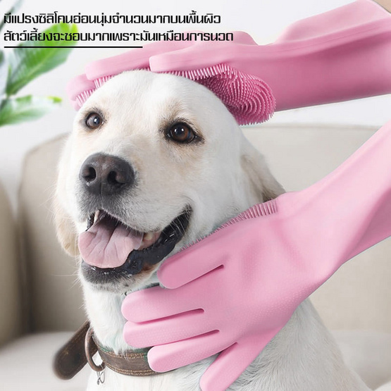 Softkiss ถุงมืออาบน้ำสัตว์เลี้ยงซิลิโคน Softkiss ถุงมืออาบน้ำสัตว์เลี้ยงซิลิโคน