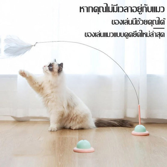 Softkiss ไม้ล่อแมว มีกระดิ่งและขนนก Softkiss ไม้ล่อแมว มีกระดิ่งและขนนก