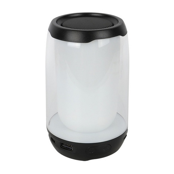 Rizz ลำโพงบลูทูธ RSB-294G Rizz ลำโพงบลูทูธ RSB-294G