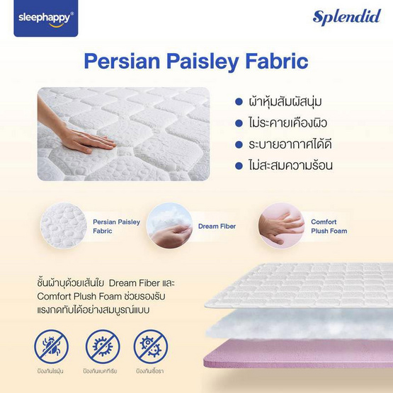 SleepHappy ที่นอนพ็อกเก็ตสปริง รุ่น Splendid หนา 10 นิ้ว