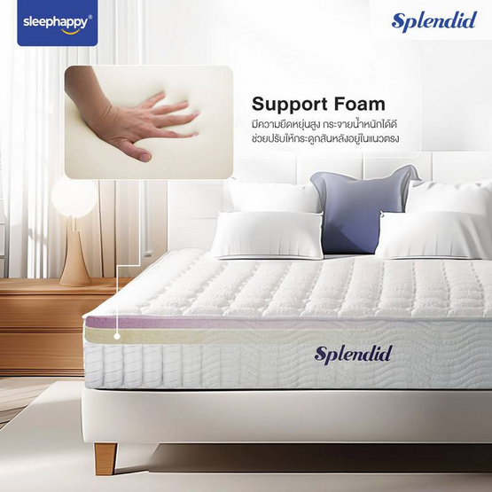 SleepHappy ที่นอนพ็อกเก็ตสปริง รุ่น Splendid หนา 10 นิ้ว