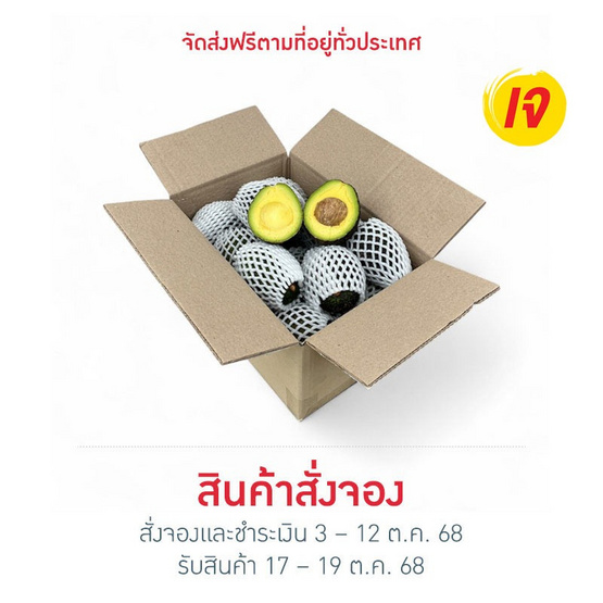 สวนร่มเกล้า อะโวคาโดแฮส GI จ. ตาก 3 กิโลกรัม