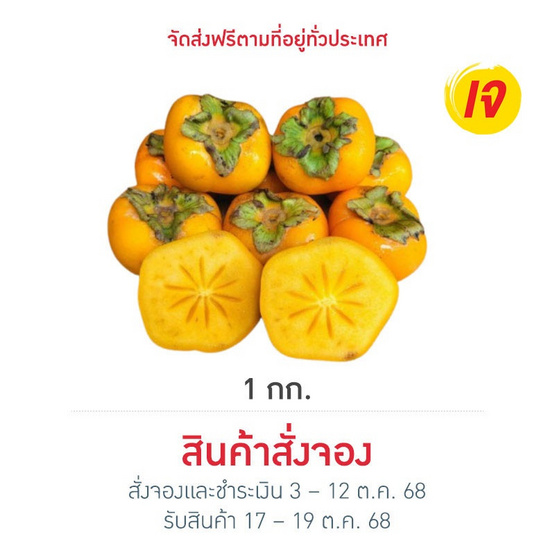 ไร่ชรินทร์พรรณ ลูกพลับ พันธุ์ P2