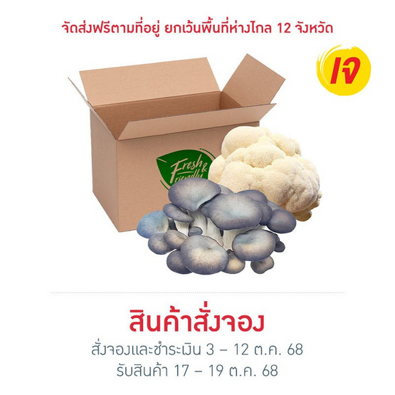 FF Farm ชุดเห็ดรวมออร์แกนิค (ยามาบู,นางรมดอย) 200 ก.