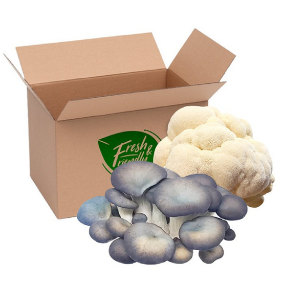 FF Farm ชุดเห็ดรวมออร์แกนิค (ยามาบู,นางรมดอย) 200 ก.