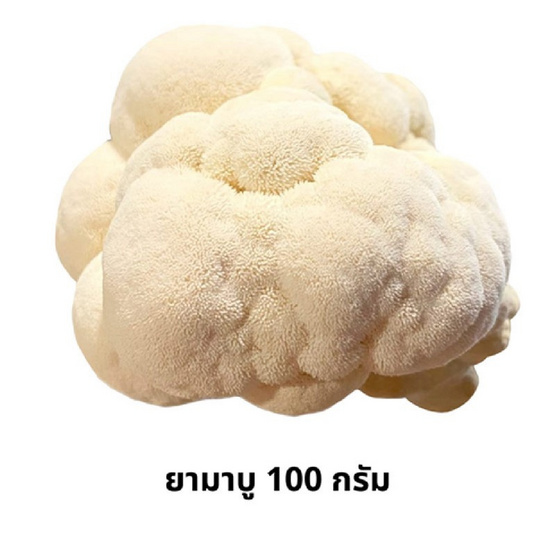 FF Farm ชุดเห็ดรวมออร์แกนิค (ยามาบู,นางรมดอย) 200 ก.