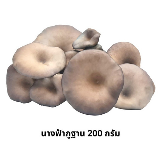 FF Farm ชุดเห็ดรวมออร์แกนิค (ออรินจิ,นางฟ้าภูฐาน) 400 ก.