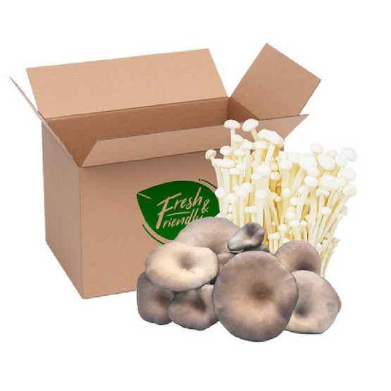 FF Farm ชุดเห็ดรวมออร์แกนิค (เข็มเงิน,นางฟ้าภูฐาน) 700 ก.