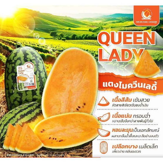 ณิชชาชามม์ แตงโม Queen Lady Size L กล่อง 2 ลูก แถม Thumbs up Size L 1 ลูก