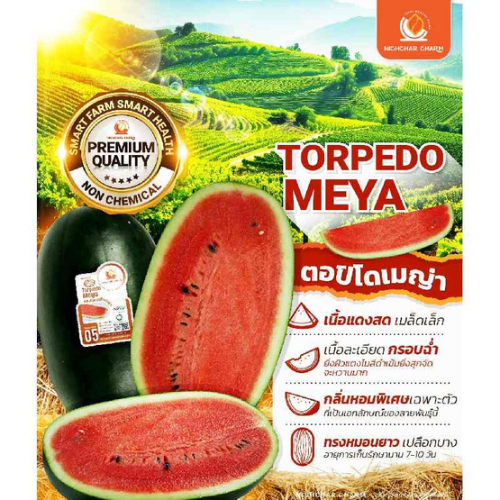 ณิชชาชามม์ แตงโม Torpedo Meya Size Jumbo กล่อง 2 ลูก แถม Thumbs up Size Jumbo 1 ลูก