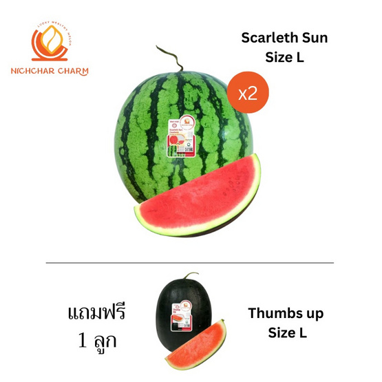ณิชชาชามม์ แตงโม Scarleth Sun Size L กล่อง 2 ลูก แถม Thumbs up Size L 1 ลูก