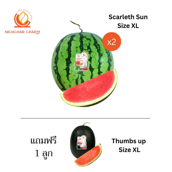 ณิชชาชามม์ แตงโม Scarleth Sun Size XL กล่อง 2 ลูก แถม Thumbs up Size XL 1 ลูก