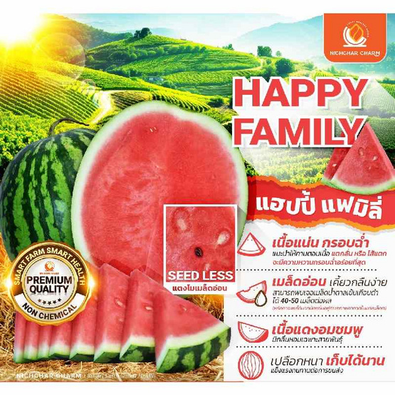 ณิชชาชามม์ แตงโม Happy Family S กล่อง 2 ลูก แถม Thumbs up Size S 1 ลูก