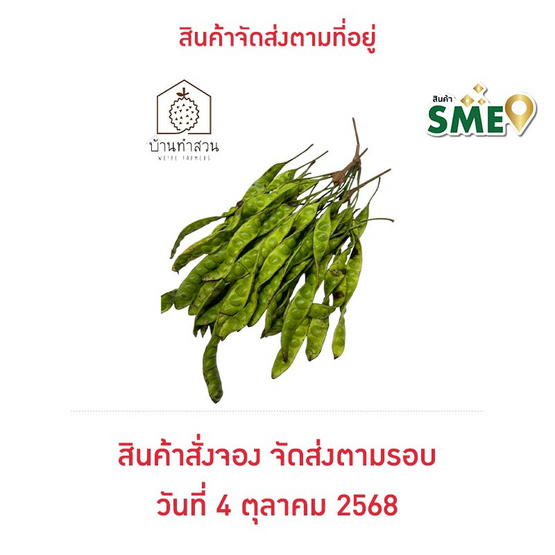 บ้านทำสวน สะตอข้าว จ. ชุมพร (30 ฝัก)
