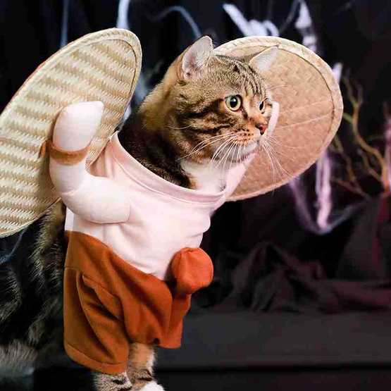 Clawset ชุดฮาโลวีน ผีกระหัง