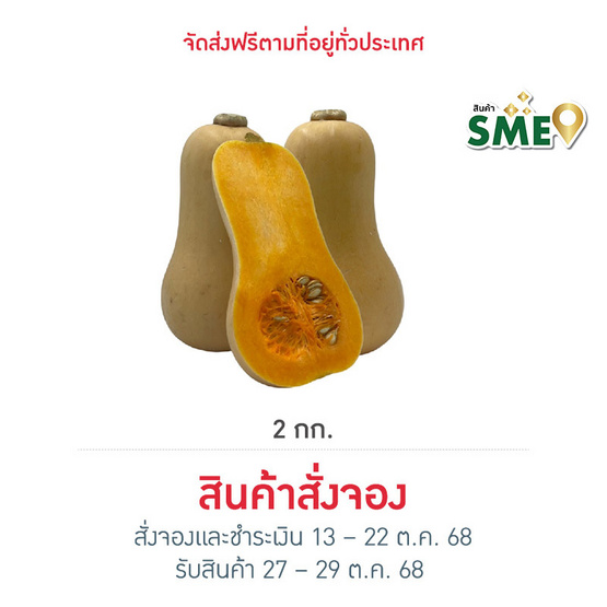 ไร่ชรินทร์พรรณ ฟักทองบัตเตอร์นัท (2-4 ลูก/kg.) ฮาโลวีน