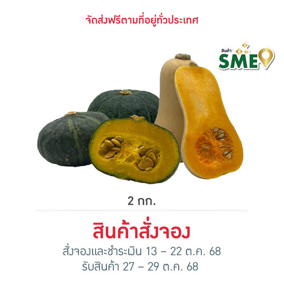ไร่ชรินทร์พรรณ ชุดรวมฟักทองฮาโลวีน