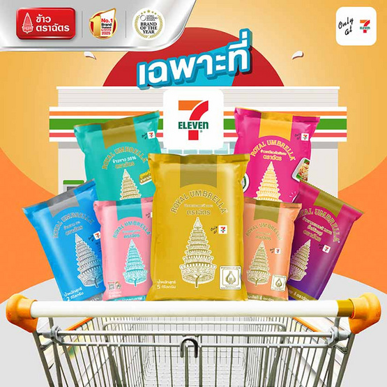ฉัตร ข้าวขาว 35% 1 กิโลกรัม (ยกลัง 6 ชิ้น) ฉัตร ข้าวขาว 35% 1 กิโลกรัม (ยกลัง 6 ชิ้น)