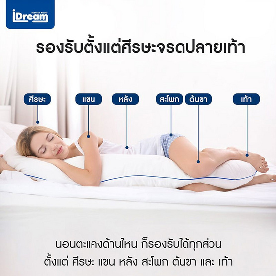 iDream iHug Body Pillow หมอนกอดบอดี้ iDream iHug Body Pillow หมอนกอดบอดี้