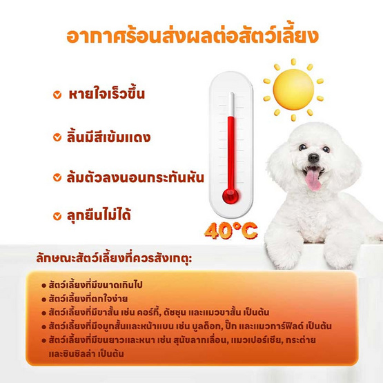 YOYOPET สเปรย์เย็น คูลลิ่ง มิสท์ YOYOPET สเปรย์เย็น คูลลิ่ง มิสท์