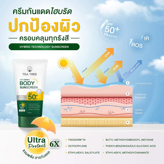 Naturista กันแดดผิวกาย Tea Tree Acne Body Sunscreen SPF50+ PA++++ 100 มล. Naturista กันแดดผิวกาย Tea Tree Acne Body Sunscreen SPF50+ PA++++ 100 มล.