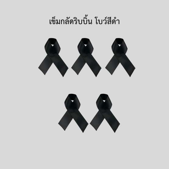 Day2Nite เข็มกลัดริบบิ้นไว้อาลัย (แพ็ก 5 ชิ้น)