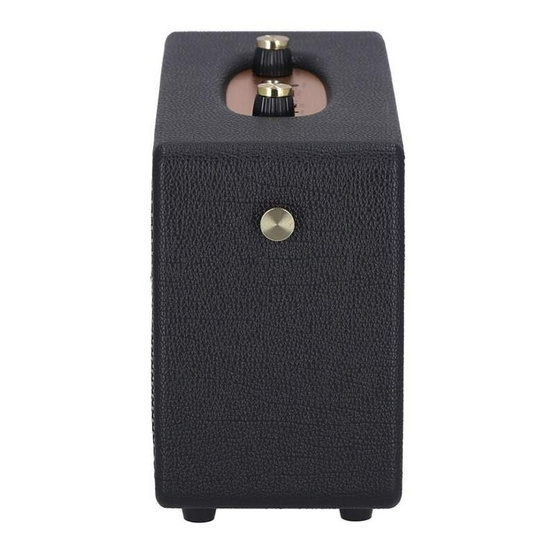 DP ลำโพงบลูทูธพกพา พร้อมไมโครโฟน รุ่น Maxwell