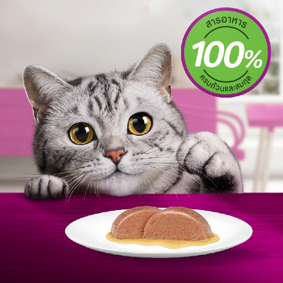 วิสกัส อาหารแมว ชนิดเปียก สูตรแมวสูงวัย รสปลาทูน่า 80 ก.