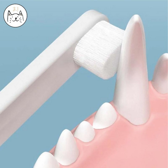 KUMA แปรงสีฟันสัตว์เลี้ยง ขนนุ่ม คู่2ชิ้น