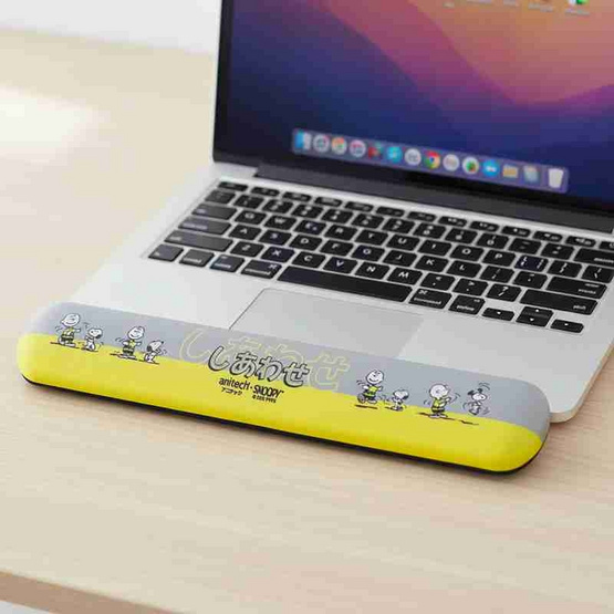 Anitech ที่รองข้อมือ รุ่น SNP-MP009