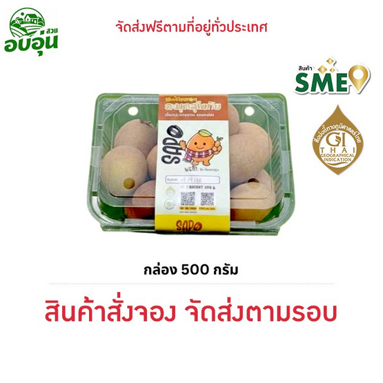 บ้านสวนอบอุ่น ละมุดสุโขทัย