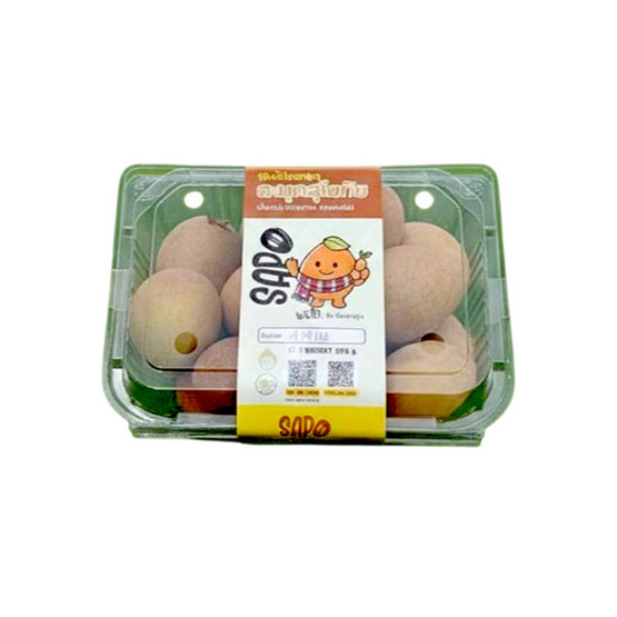 บ้านสวนอบอุ่น ละมุดสุโขทัย